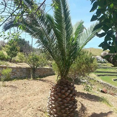 Kea Sea View *